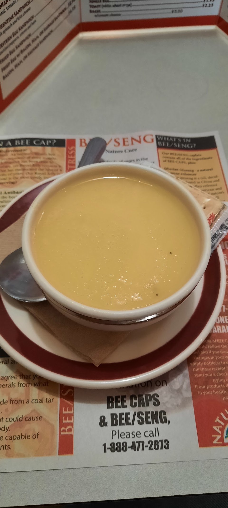Greek Lemon Soup